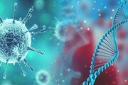 بومی‌سازی ویروس مهندسی سُرخک برای درمان سرطان
