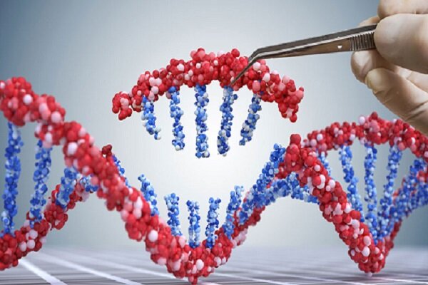 ارائه کیت آزمایشگاهی کمک به توسعه ژن‌درمانی