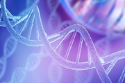 تبدیل رشته‌های DNA به ساختارهای سه‌بعدی کاربردی