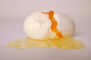 مواد غذایی که میتوان جایگزین تخم مرغ کرد