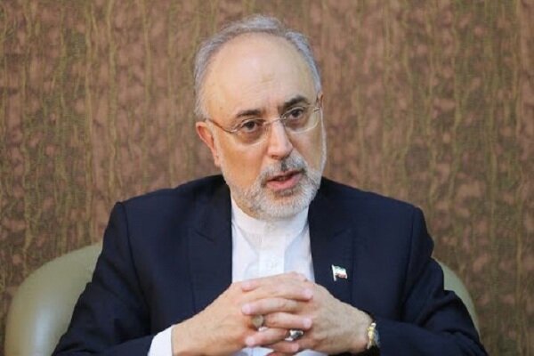 آژانس درخواست دیگری برای بازرسی از ایران ندارد