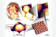 الهام از نانوپوشش چشم حشرات در تولید سطح ضدبازتابش