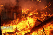 ورود هلال احمر به آتش‌سوزی جنگل‌ در توسکستان