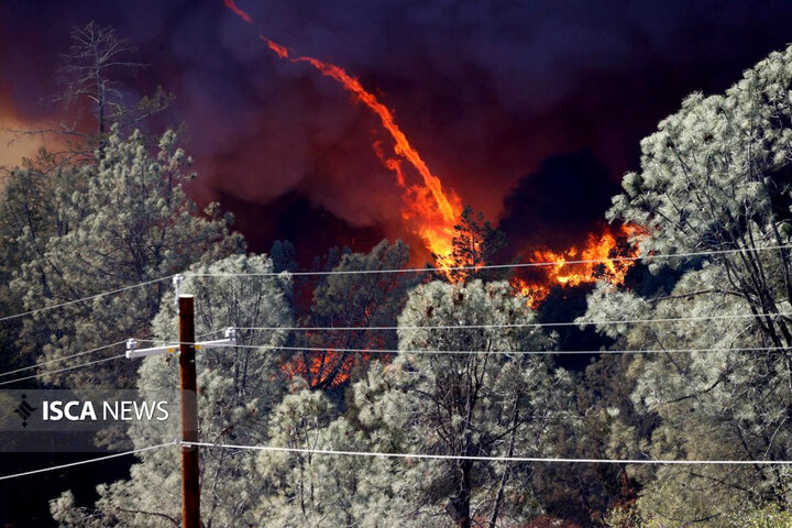 آتش سوزی کالیفرنیا به مناطق مسکونی رسید