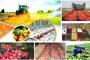 تورم تولید کننده زراعت و باغداری در پاییز ۹۹ به ۵۹ درصد رسید