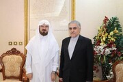 تاکید سفیر ایران در قطر بر ضرورت حفظ وحدت
