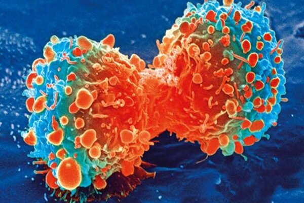 مواد موثره داروی سرطان توسط محققان کشور تولید شد