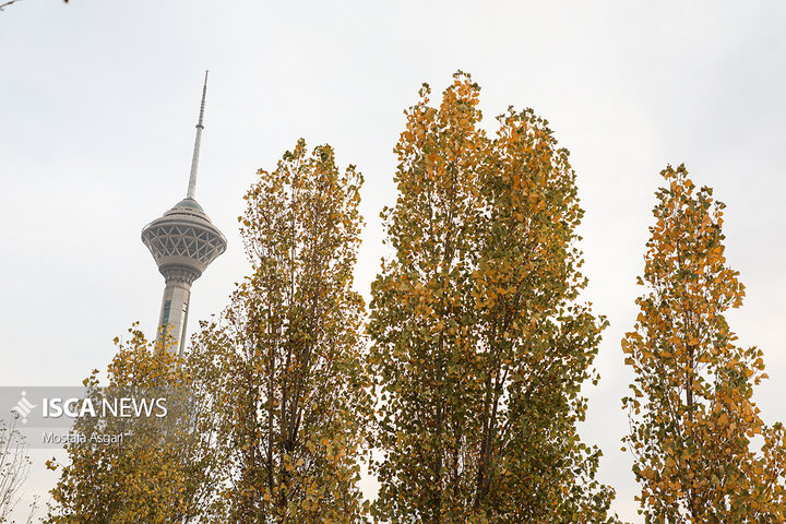 حال و هوای پاییزی تهران