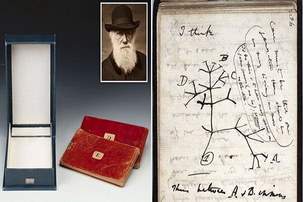 سارقان کتابچه‌های داروین را ربودند!