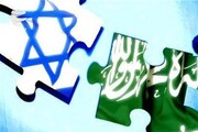 عربستان و اسرائیل از قدرت ایران هراس دارند/ احتمال ترور دانشمندان دیگر