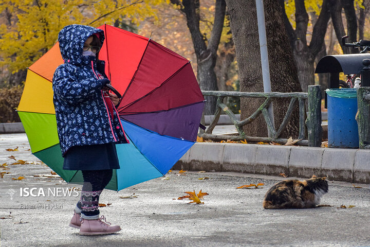 پاییز تهران