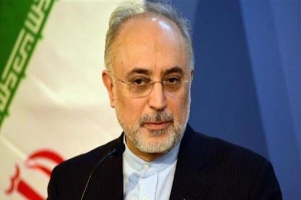 صالحی: دست ایران در مذاکرات وین از نظر فنی بسیار پر است
