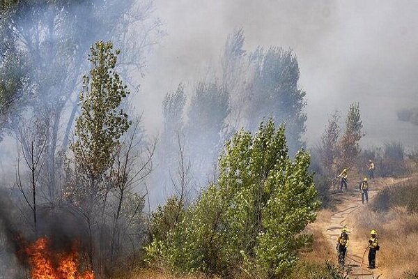 مهار آتش در پارک ملی گلستان/تیم مراقبت ۱۵ نفره در محل مستقر هستند