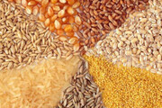 قیمت انواع نهاده های دامی و محصولات کشاورزی چهارشنبه ۱۶ آذر ۱۴۰۱