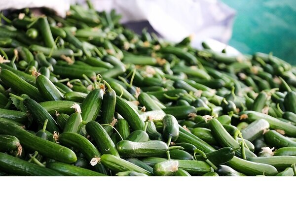 تغییرات قیمت کالاهای خوراکی در بهمن ماه