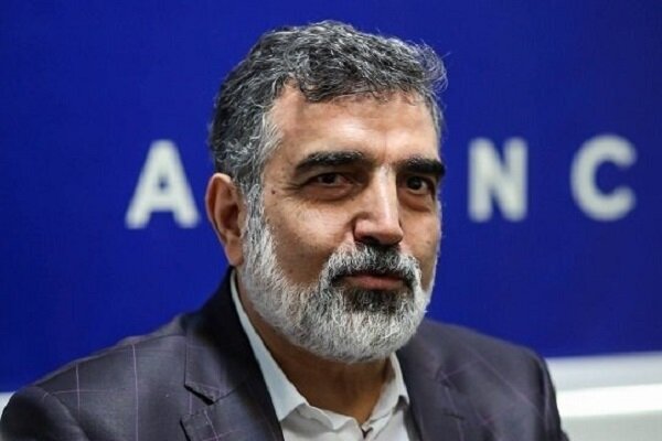 کمالوندی: بازرسی‌های آژانس از ایران حدود ۳۰ درصد کاهش می‌یابد