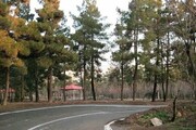ممانعت از ورود به بوستان «سرخه‌حصار» در روز طبیعت