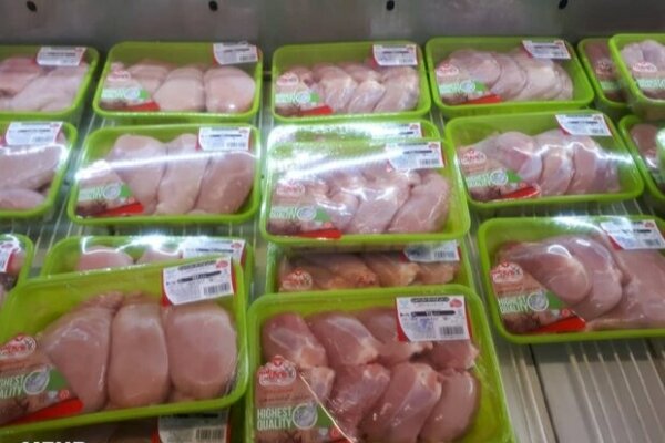 توزیع ۹۲۲ تن مرغ امروز در تهران