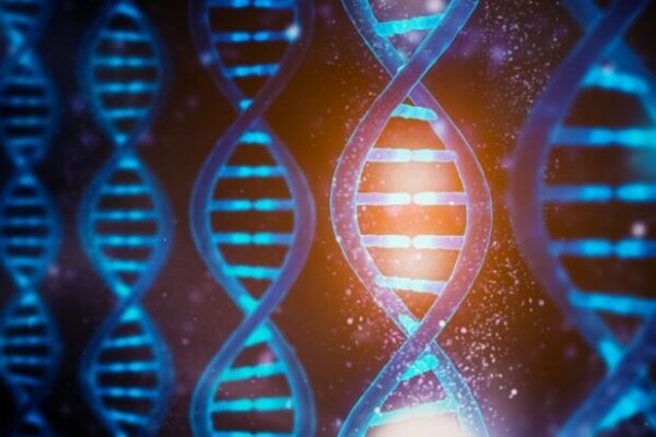 شناسایی ژن ایجادکننده سندروم نوعی اختلال اسکلتی توسط محققان کشور