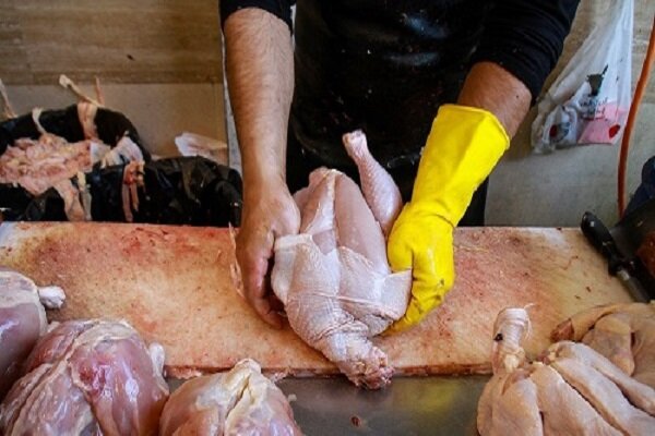 توزیع روزانه ۶ هزار تن مرغ گرم در بازار