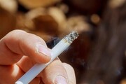 دود دخانیات سالانه جان ۶۰۰ هزار ایرانی را می‌گیرد