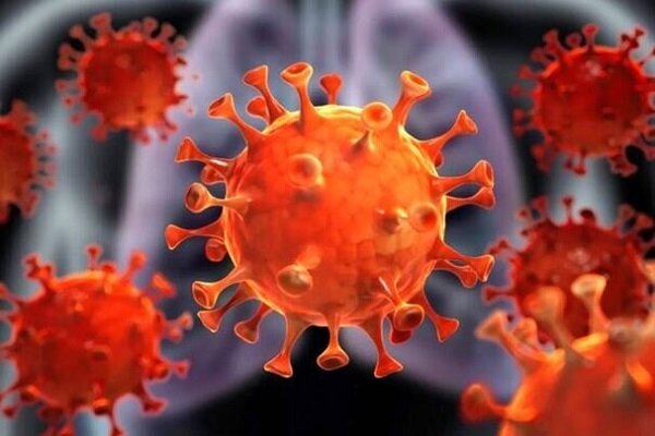 ادعاهای تازه درباره آزمایشگاهی بودن ویروس کرونا