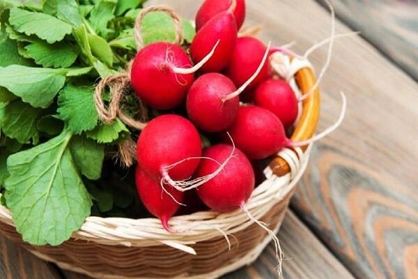 سبزیجاتی که بیماری‌ها را در زمستان از شما دور می‌کند