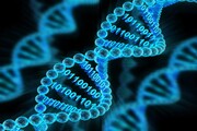 آیا می‌توان همه عکس‌های دنیا را روی DNA ذخیره کرد؟