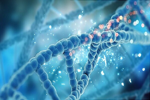 روش جدید مقابله با بیماری‌های ژنتیکی به کمک نوعی لنتی‌ویروس
