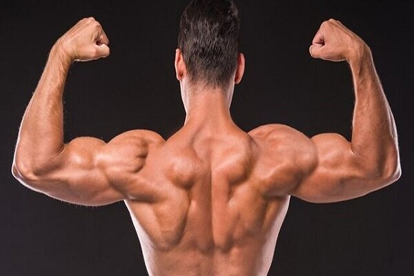 محرومیت ۴ ساله برای ۳ ورزشکار پرورش اندام