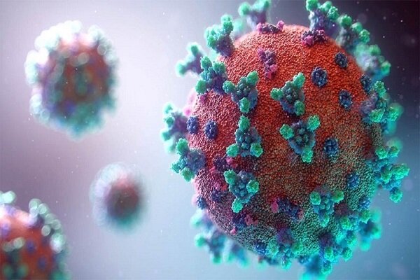 شناسایی یکی از خطرناک‌ترین ویروس‌های جهان در هند
