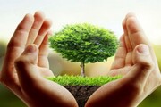 مجازات قطع درختان و تخریب منابع طبیعی چیست؟