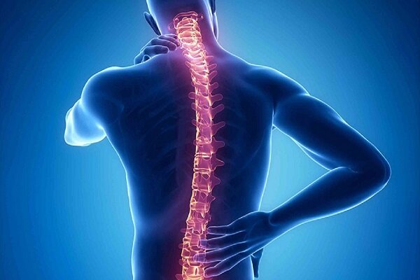 چند پیشنهاد ساده برای درمان و رهایی از گردن درد
