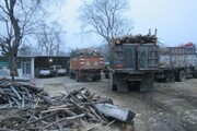 ردپای قاچاقچیان چوب در آتش‌سوزی‌ جنگل‌های زاگرس/ ستاد بحران یک ریال هم به محیط زیست کمک نکرد