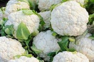 چگونه گل کلم تازه را تشخیص دهیم؟