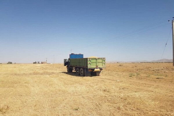 برداشت بیش از ۲۰ تن گندم از مزارع کشاورزی دانشگاه آزاد اسلامی واحد اقلید
