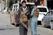 کشته شدن ۴۵۵ عضو طالبان در شبانه روز گذشته
