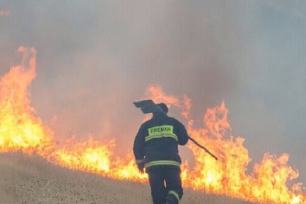 آتش ‎سوزی گسترده در منطقه هایقر فیروزآباد