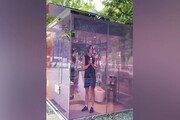 دستشویی عمومی با دیوارهای شیشه‌ ای در وسط شهر! + فیلم