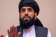 طالبان: ما پاسخ حملات دولت افغانستان را دادیم