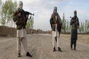 فرستاده ویژه سازمان ملل: داعش در تمام 34 استان افغانستان حضور دارد