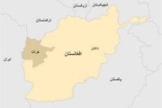 افغانستان | هرات سقوط کرد