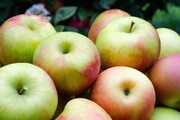 طب سنتی/ تنظیم سطح قند خون با استفاده از پوست سیب