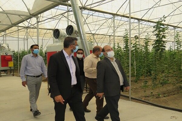 بهره‌برداری از فاز نخست طرح ملی بذر در دانشگاه آزاد اسلامی نجف‌آباد