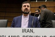 شرایط دو ایرانی محبوس در آمریکا مساعد نیست