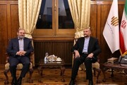 دیدار و گفتگوی وزیر امور خارجه کشورمان با نماینده حزب الله در تهران