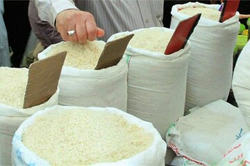 قیمت برنج ایرانی کاهش یافت