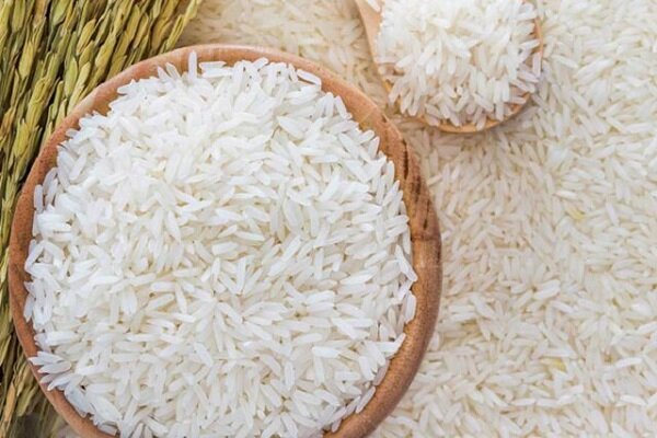 واردات برنج به نصف کاهش یافت