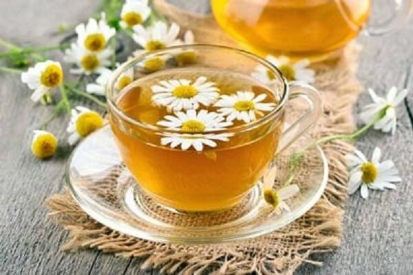 طب سنتی / فواید چای بابونه 