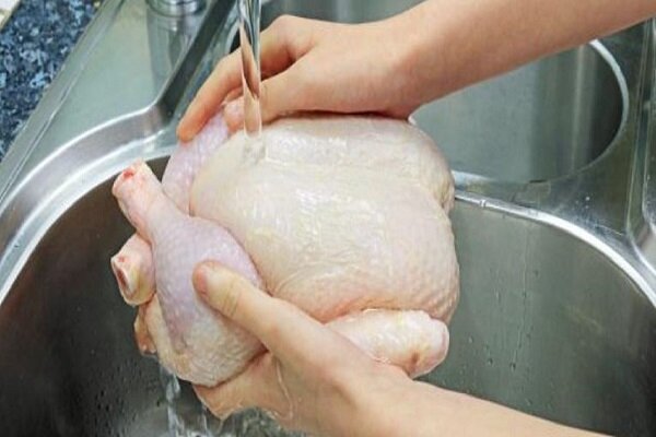الگوی مصرف مرغ اصلاح می‌شود